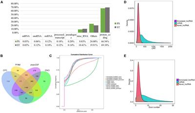 Comprehensive Genomic Characterization Analysis of lncRNAs in Cells With Porcine Delta Coronavirus Infection